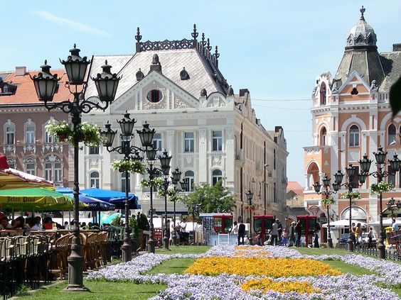 Novi Sad trg